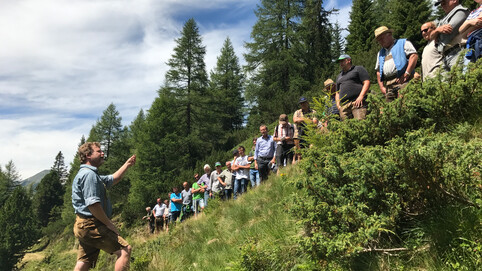Almpflegetag 2017 Gottschallalm