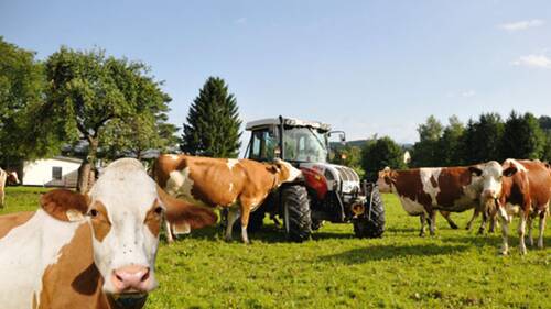 Landwirtschaftliches Jahrbuch